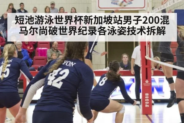 短池游泳世界杯新加坡站男子200混马尔尚破世界纪录各泳姿技术拆解 | jiuyouhui