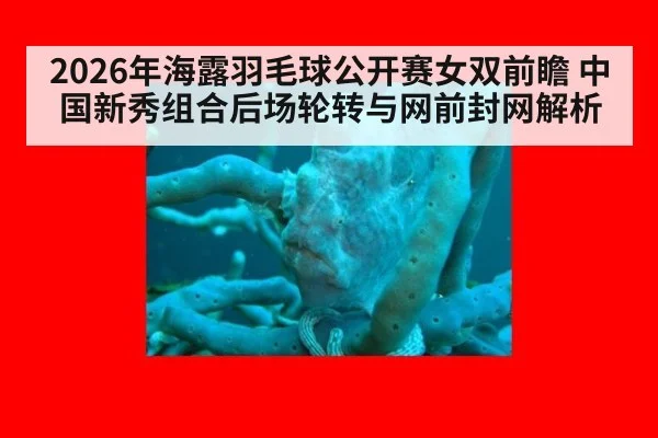 2026年海露羽毛球公开赛女双前瞻 中国新秀组合后场轮转与网前封网解析 | jiuyouhui
